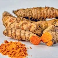 turmeric